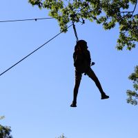 Flying Squirrel
